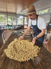 Load image into Gallery viewer, Persian Brekkie